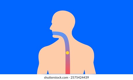 Throat Pain Relief Vector Illustration – Healing Process with Medicine