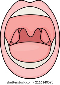 Throat and Tonsils Vector color Icon Design, Organ System Symbol, Human Anatomy Sign, Human Body Parts Stock illustration, Human Mouth Concept, 