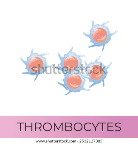 Thrombocytes, platelets. Isolated vector icon