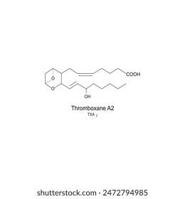 Thromboxane A2 skeletal structure diagram.Prostanoid compound molecule scientific illustration on white background.