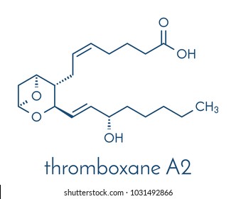 Thromboxane A2 (TXA2) molecule. Skeletal formula.