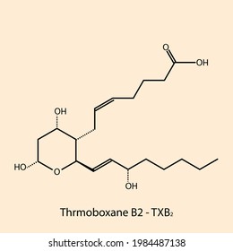Thromboxane B2 - Thromboxane biomolecule molecular formula. Skeletal molecule structure vector eps10.