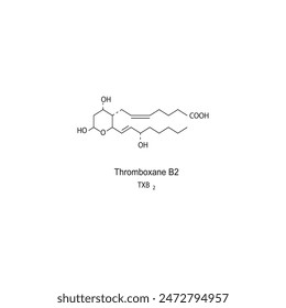 Thromboxane B2 skeletal structure diagram.Prostanoid compound molecule scientific illustration on white background.