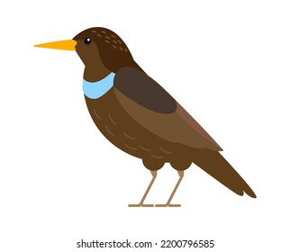 Thrush Bird icon. Vector illustration