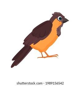Thrush flat icon. Colored vector element from birds collection. Creative Thrush icon for web design, templates and infographics.