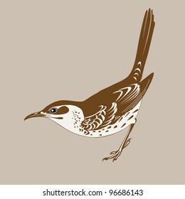 thrush silhouette on brown  background, vector illustration
