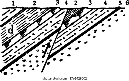 Thrust fault, it is a break in the earth's crust, across which older rocks are pushed above younger rocks at less than 45 degrees, vintage line drawing or engraving illustration.