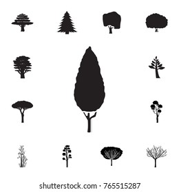 Thuja. Black tree icon. Set of silhouette of tree icons. Web Icons Premium quality graphic design. Signs, outline symbols collection, simple icons for websites, web design on white background