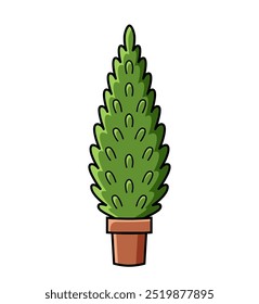 Thuja. Colorfull outline icon of evergreen coniferous plant in a pot. Green cone shaped tree. Isolated vector illustration on white background.