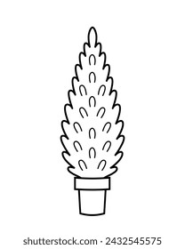 ¡Thuja! Dibujado a mano boceto icono de la planta de coníferas en una olla. Ilustración aislada del vector en estilo de la línea del garabato.