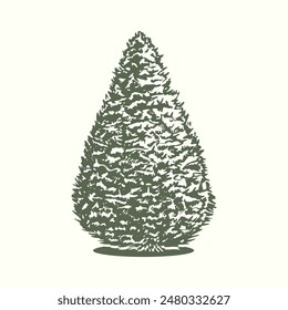 Thuja, Pequeño abeto. Gráficos, tinta. Pictogramas de Planes generales y dendroplanos en diseño paisajístico en estilo boceto. Aislado sobre fondo blanco. Vector.