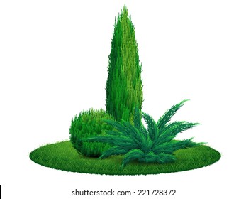 Thuja tree juniper bush on the grass. Vector illustration EPS 10.