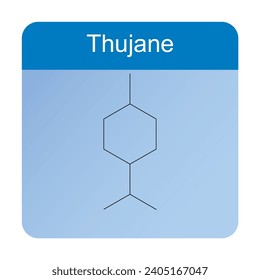 Thujane skeletal structure diagram.Monoterpene ketone compound molecule scientific illustration on blue background.