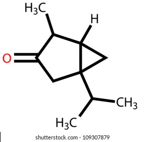 Thujone, compound with menthol odor, constituent of absinthe