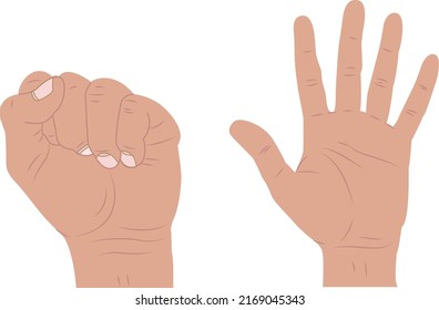 Thumb extension. Hand sequence from fist to open in two drawings. on white background