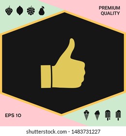 Thumb up gesture - icon. Graphic elements for your design
