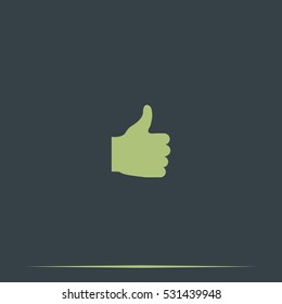 Thumb up icon. Ok sign.