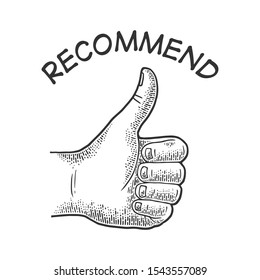 Thumb up recommend hand gesture sketch engraving vector illustration. Recommend. Scratch board imitation. Black and white hand drawn image.
