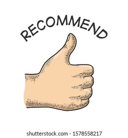 Thumb up recommend hand gesture sketch engraving vector illustration. Recommend. Scratch board imitation. Black and white hand drawn image.