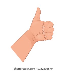 Thumb up. The gesture of the hand showing like. Vector illustration isolated on white background.