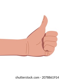 Thumb up. Like finger OK. Stock vector illustration of cartoon hand on white background.