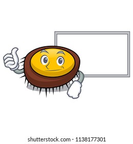 Thumbs up with board sea urchin character cartoon