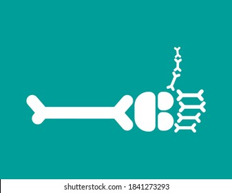 Thumbs up bone. Skeleton hand. vector illustration

