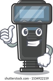 Thumbs up camera flash isolated with the mascot