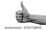Thumbs Up Halftone Black and White Vector Illustration