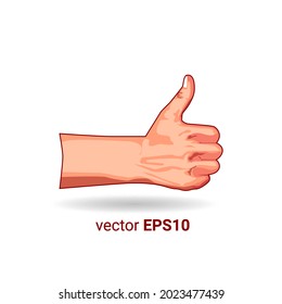 
thumbs up hand illustration vector image