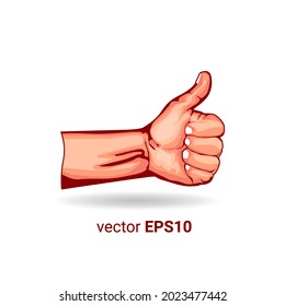 
thumbs up hand illustration vector image