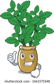 Thumbs up lemon balm in a mascot pot
