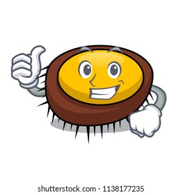 Thumbs up sea urchin character cartoon