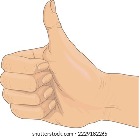 Thumbs Up Sign Vector Illustration