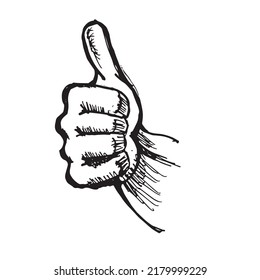 thumbs up sketch drawing vector design