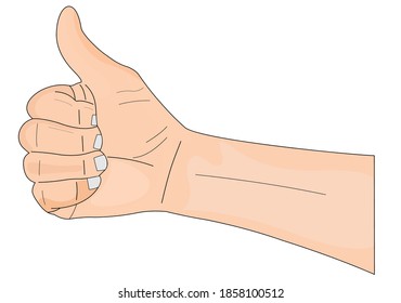 thumbs up vector image means great