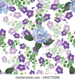 Thunbergia erecta, purple color flower and hydrangea vector illustration