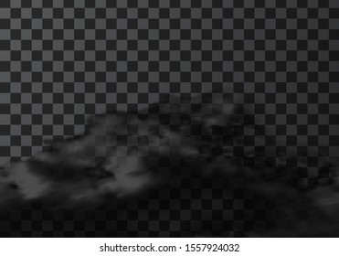 Thunderstorm cloud weather meteo icon realistic vector illustration. Realistic element for weather forecast, black storm cloud isolated on transparent background