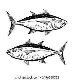 Thunnus thynnus. Black and white Hand Drawn red tuna. Design elements for logo, label, emblem, sign, brand mark. Vector illustration for product, company, restaurant label