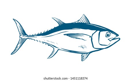 Thunnus thynnus. Color Hand Drawn red tuna. Design elements for logo, label, emblem, sign, brand mark. Vector illustration for product, company, restaurant label