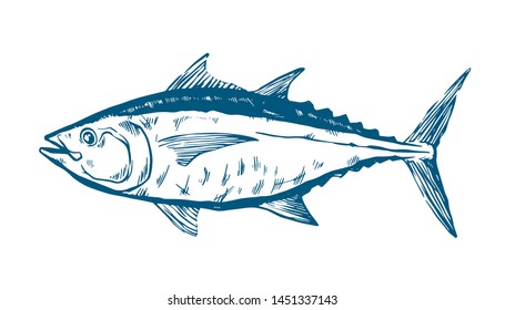 Thunnus thynnus. Color Hand Drawn red tuna. Design elements for logo, label, emblem, sign, brand mark. Vector illustration for product, company, restaurant label