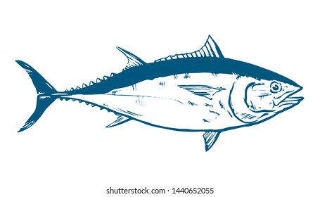 Thunnus thynnus. Hand Drawn red tuna. Design elements for logo, label, emblem, sign, brand mark. Vector illustration for product, company, restaurant label