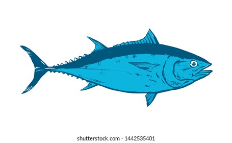 Thunnus thynnus. Hand Drawn red tuna. Design elements for logo, label, emblem, sign, brand mark. Vector illustration for product, company, restaurant label