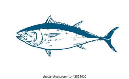 Thunnus thynnus. Hand Drawn red tuna. Design elements for logo, label, emblem, sign, brand mark. Vector illustration for product, company, restaurant label