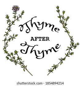 Thyme after thyme lettering. Funny phrase about growing domestic plants. Unique hand-drawn lettering for poster, room decoration, card, t-shirt, sticker, party. Vector illustration..