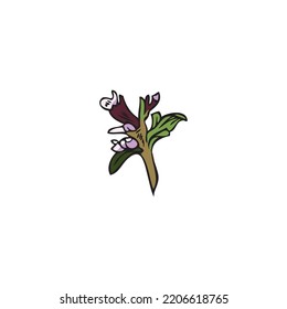 Thyme aromatic plant stem with flowers, hand drawn sketch vector illustration isolated on white background. Thyme flower botanical element for spice packaging design.