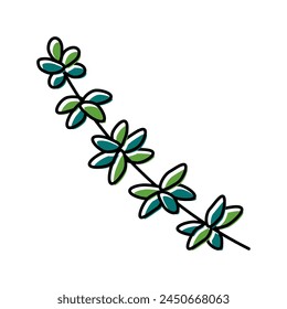 thyme branch color icon vector. thyme branch sign. isolated symbol illustration