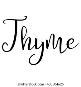 Thyme. Calligraphic Text. Typographic Design. Black Hand Lettering Text Isolated on White Background. For Posters, Design. Vector illustration
