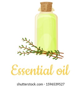 Thyme essential oil bottle isolated illustration, vector clip-art.