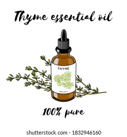 Thyme ätherische Ölflasche einzeln auf Vektorgrafik.